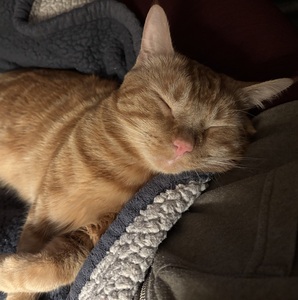 Fundraising Page: Lindsay Carter